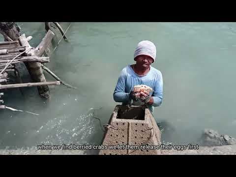 Fisher Voices: Michael Lumagbas - Guiuan E. Samar, Philippines