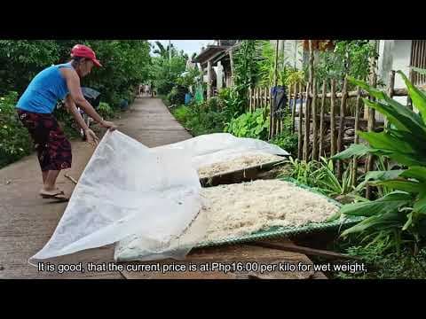 Fisher Voices: Marilou Abanador - Maliwaliw, Philippines