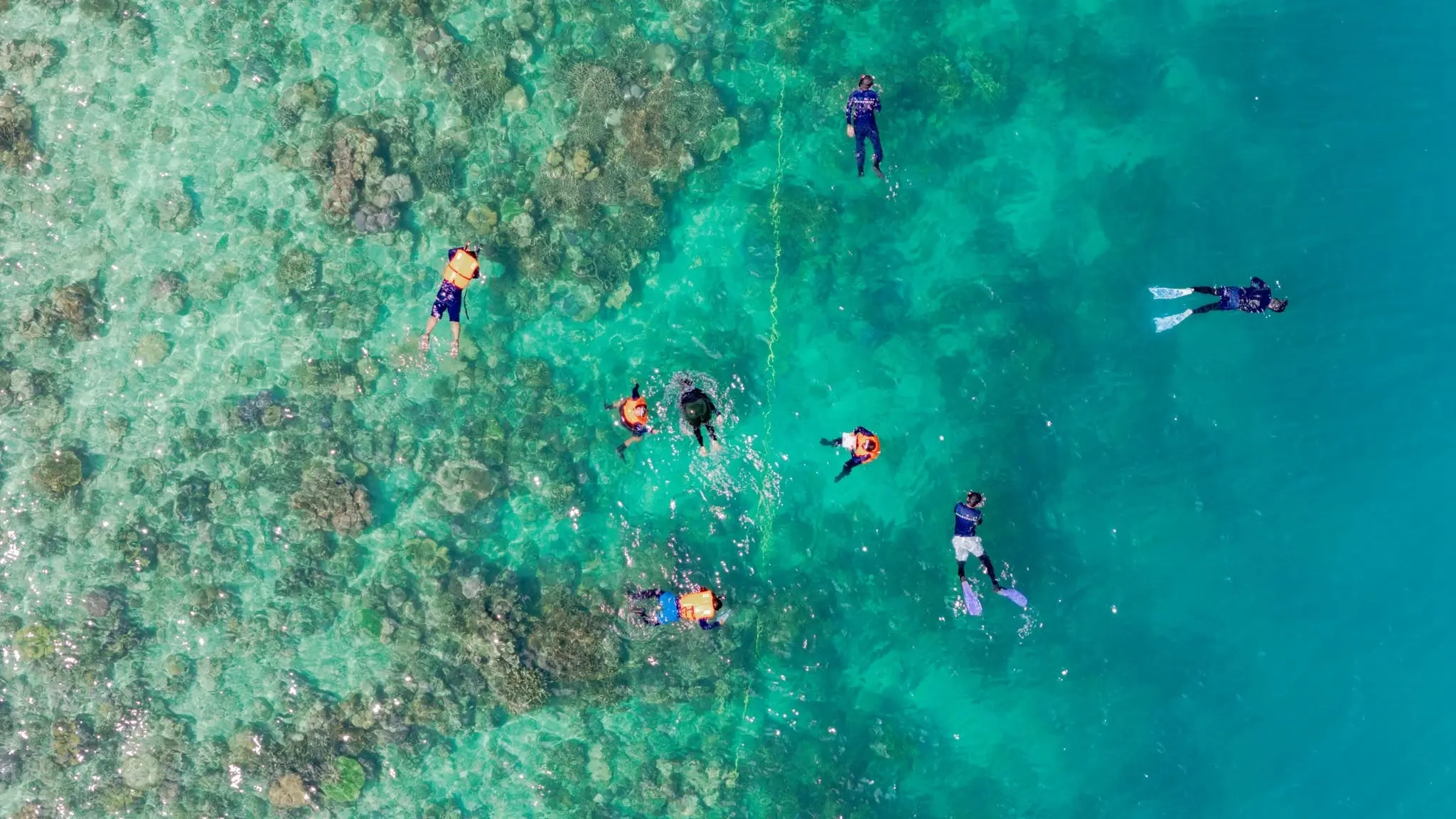 Marine Sanctuary Network Establishment