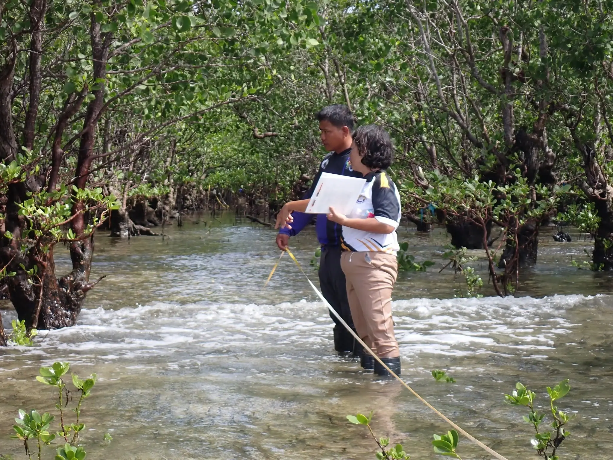 Lawaan Integrated Ecosystems Conservation Project (LIECP)